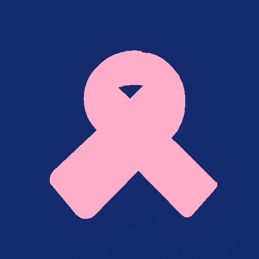 Sites de Toulouse – Octobre rose: La CFTC se joint au combat
